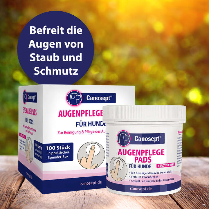 Canosept Augenpflege-Pads für Hunde
